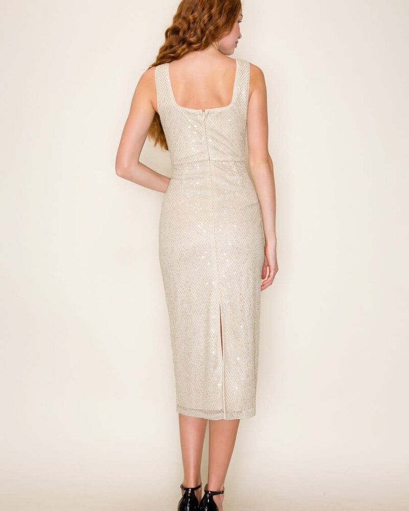 Goldie Sequin Mesh Sleeveless Bodycon Midi Dress