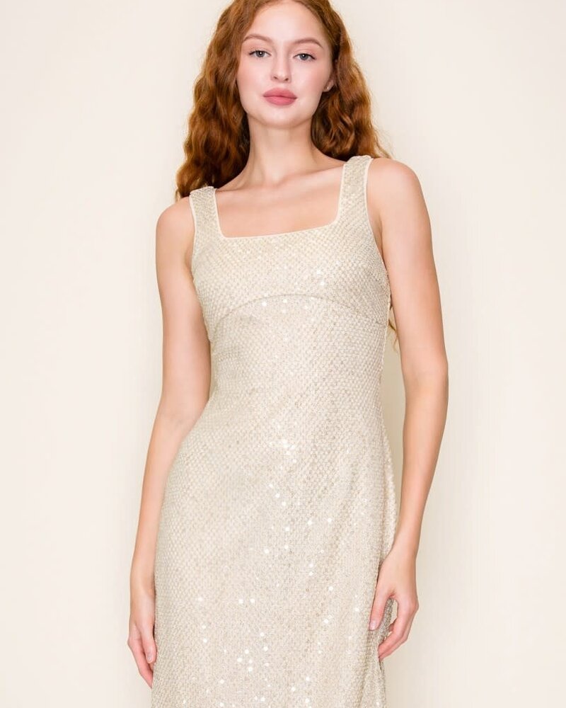 Goldie Sequin Mesh Sleeveless Bodycon Midi Dress
