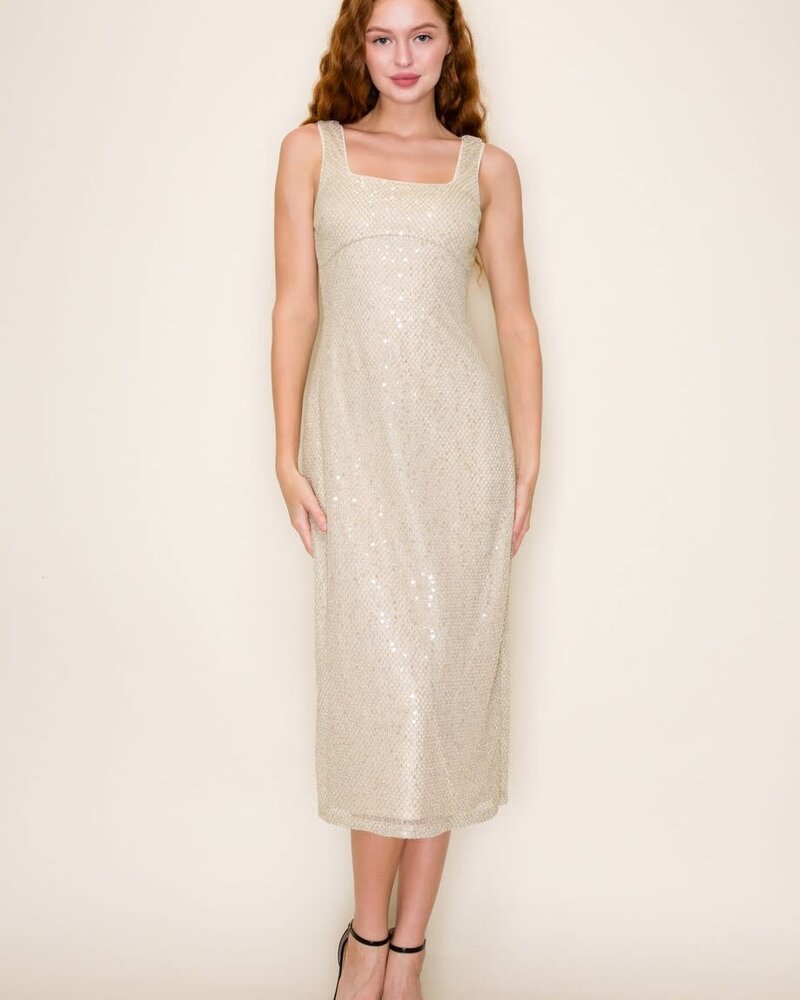 Goldie Sequin Mesh Sleeveless Bodycon Midi Dress