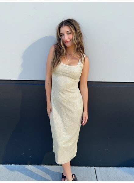 Goldie Sequin Mesh Sleeveless Bodycon Midi Dress