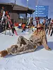 Sabbi Name Yourself Trackpants | Tree Camo