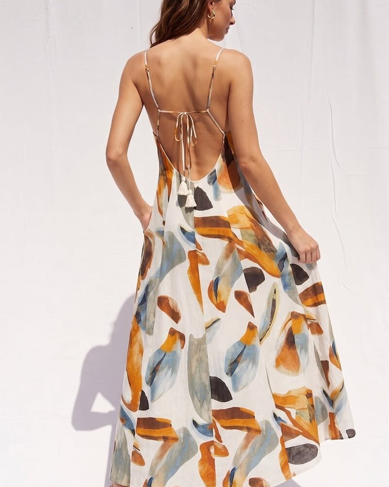 Norri Printed Maxi Dress