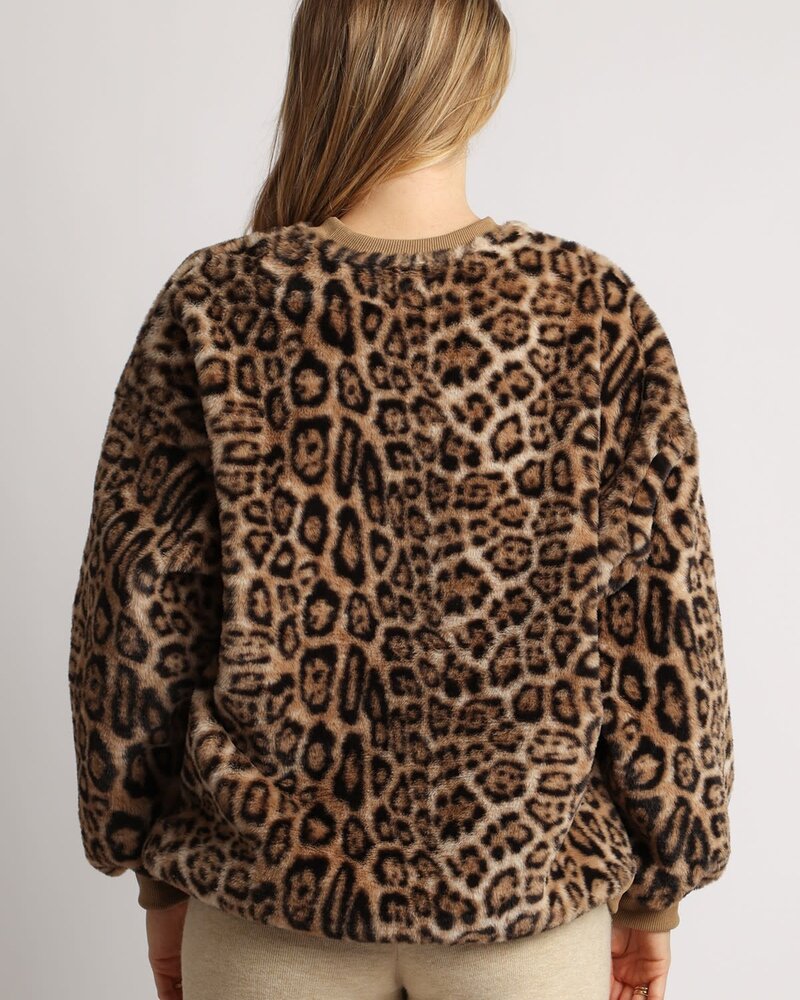 Leopard  One Size Crewneck Sweater | Taupe