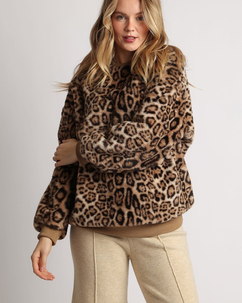 Leopard  One Size Crewneck Sweater | Taupe