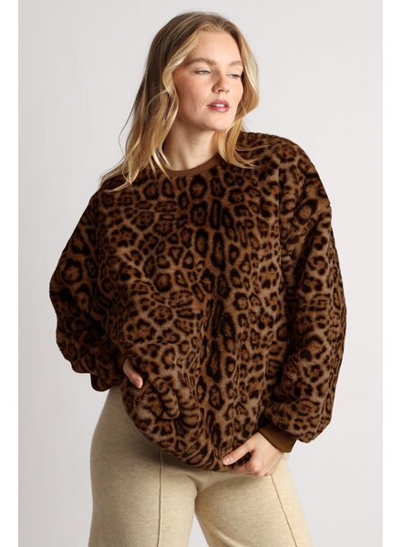 Leopard  One Size Crewneck Sweater | Brown
