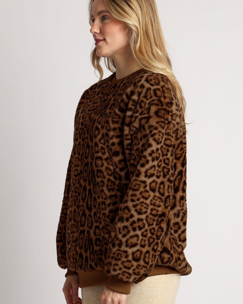 Leopard  One Size Crewneck Sweater | Brown