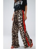 Q2 Wild Side Leopard Pants | Red Stripe