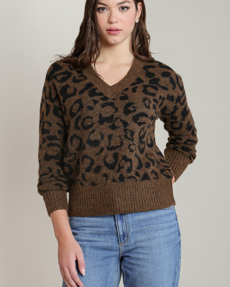 Joanna V-Neck Sweater