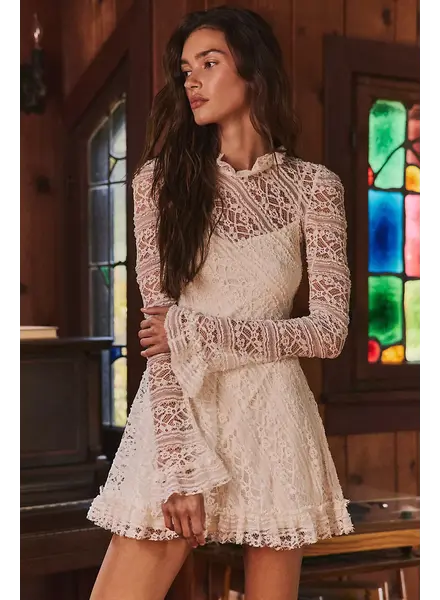 Free People Woodland Whispers Mini Dress