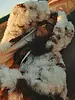 Sabbi Holy Cow Faux Fur Jacket