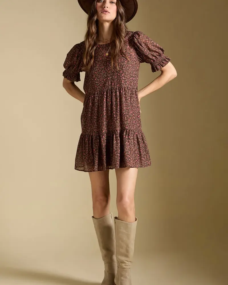 Salt Water Lux Ginna Mini Dress