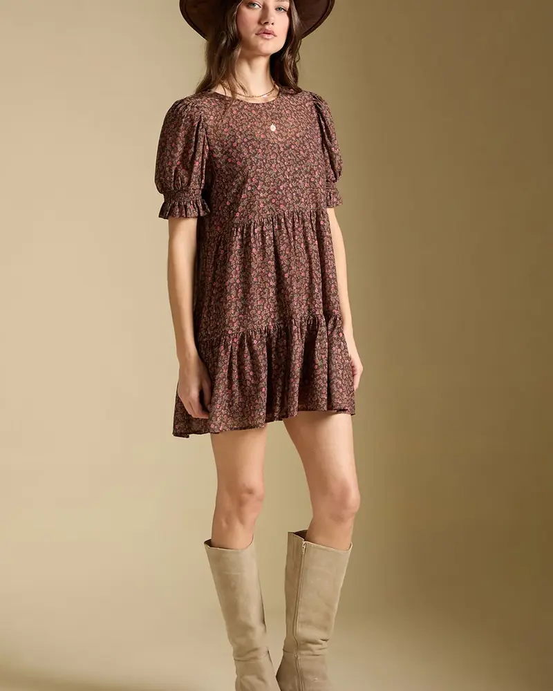 Salt Water Lux Ginna Mini Dress