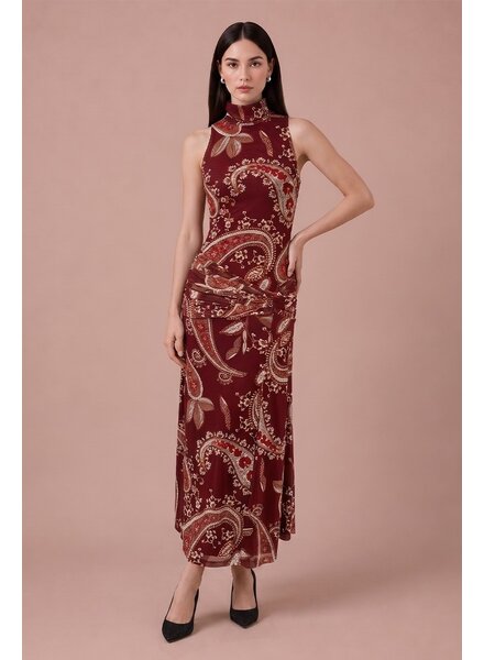 Pamela Paisley Mesh Midi Dress