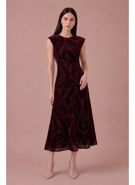 Valerie Velvet Dress