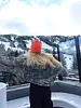 Sabbi Powder to the People Bomber