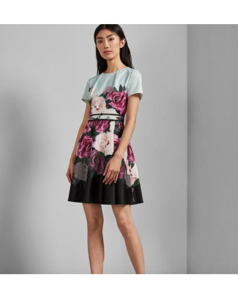 Ted Baker Skater Dress
