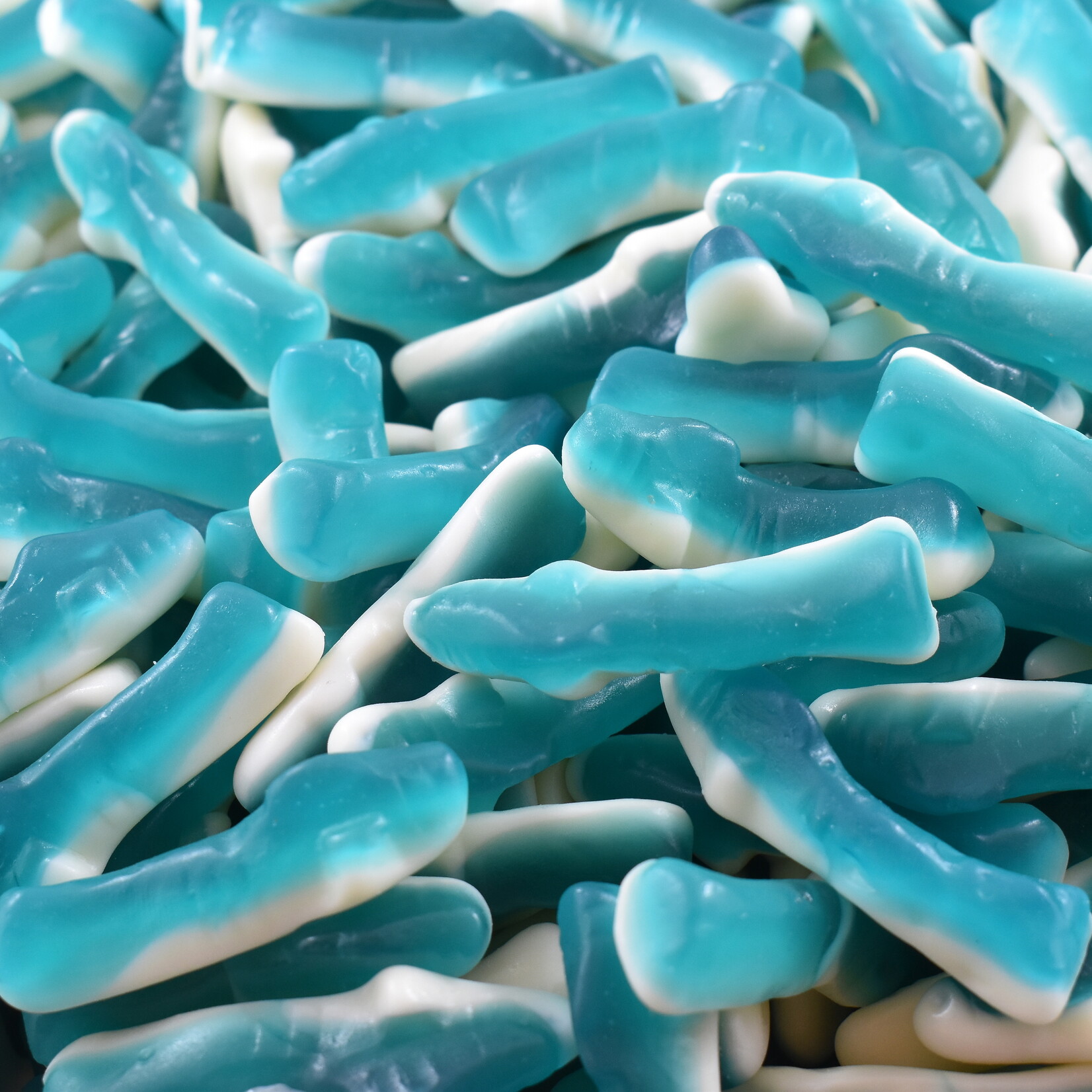 Requins Bleus Et Blancs