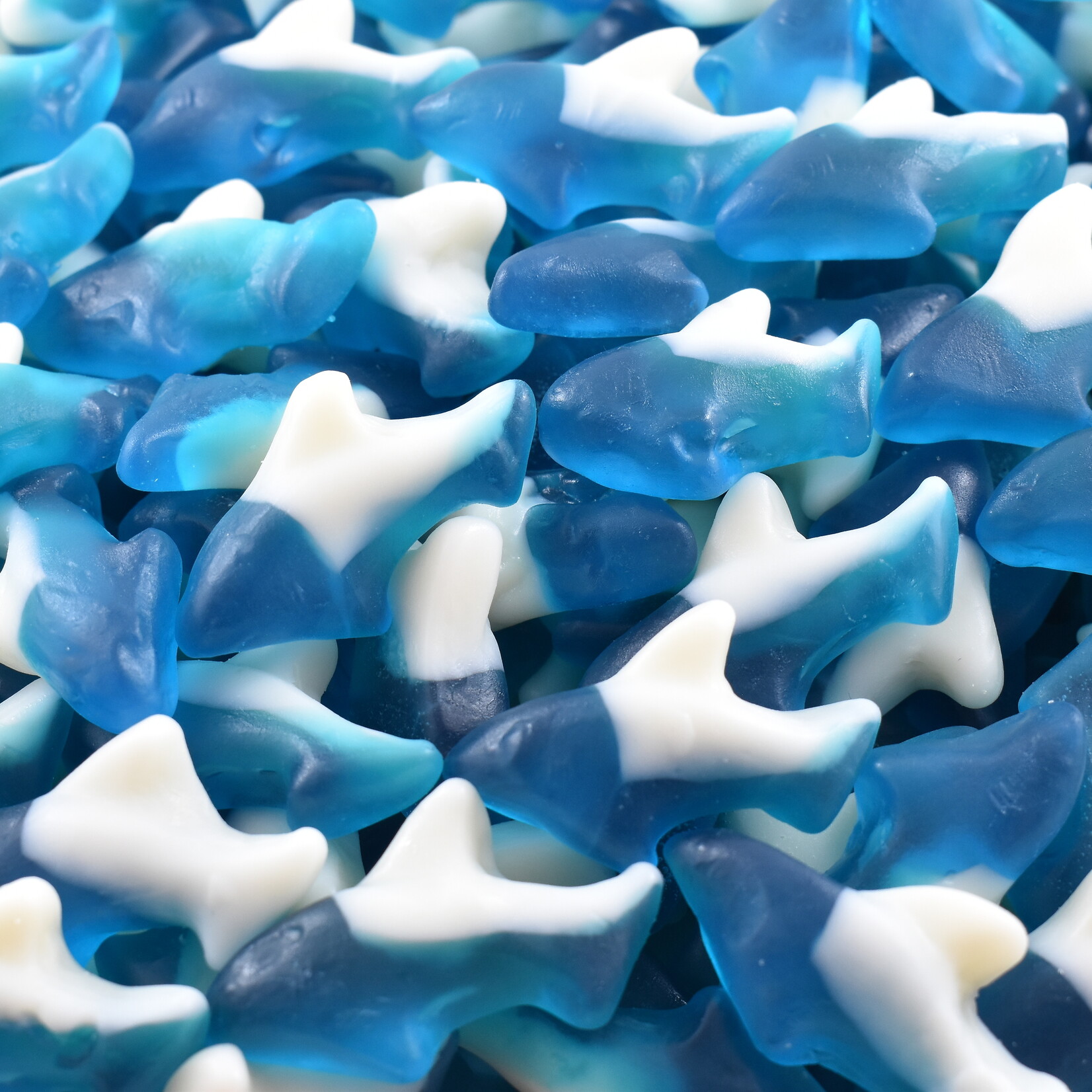 Albanese Blue Raspberry Dolphins