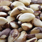 Brazil Nut