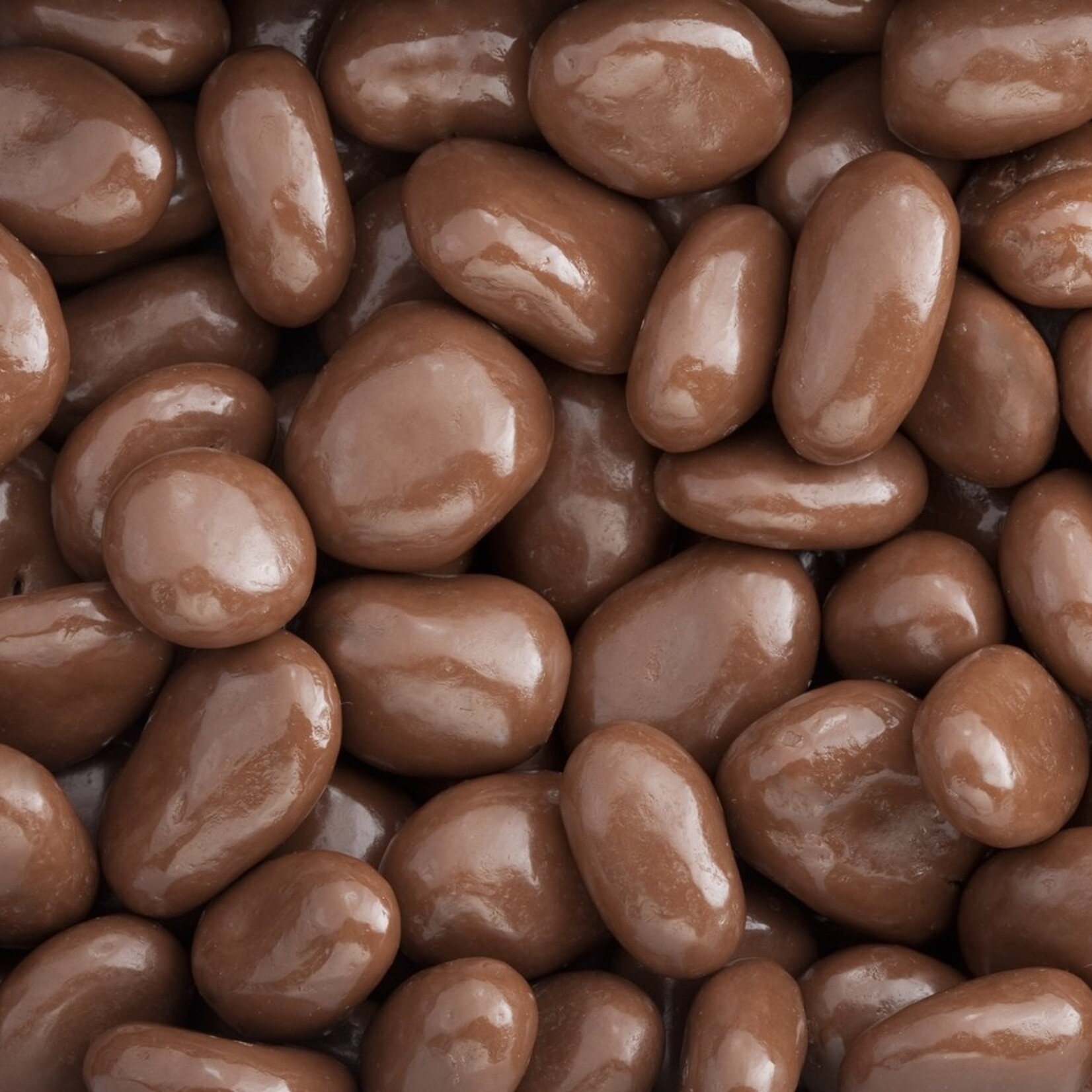 Milk Chocolate Raisins