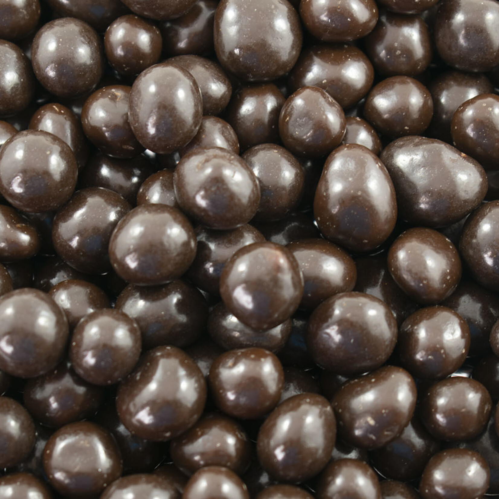 Bleuets Chocolat Noir