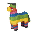 Unique Pinata Burro