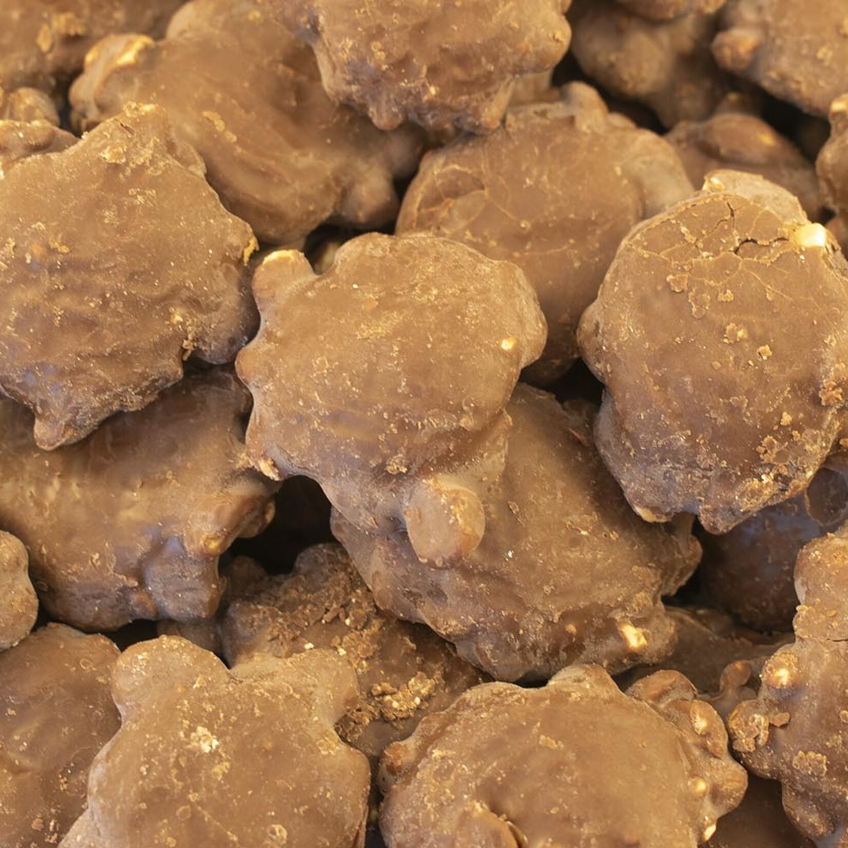 Chocolate caramel peanuts turtles