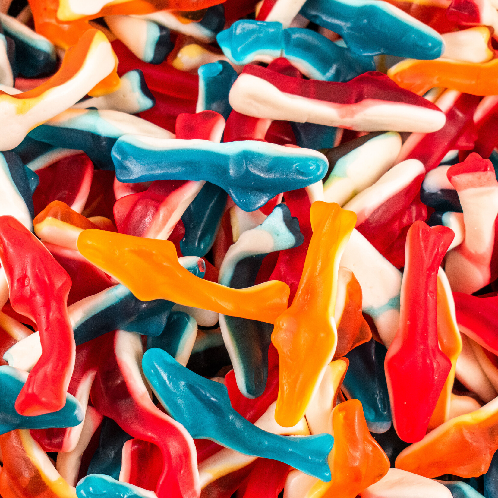 Les Aliments St-Germain Requins  multicolores