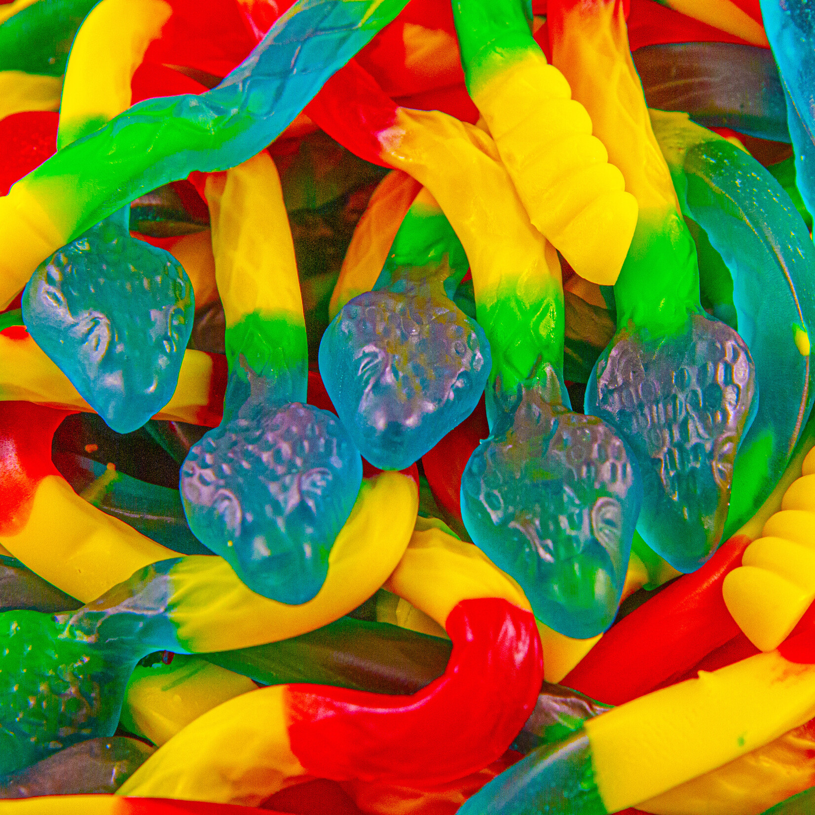 Albanese Giant Snakes 27 in