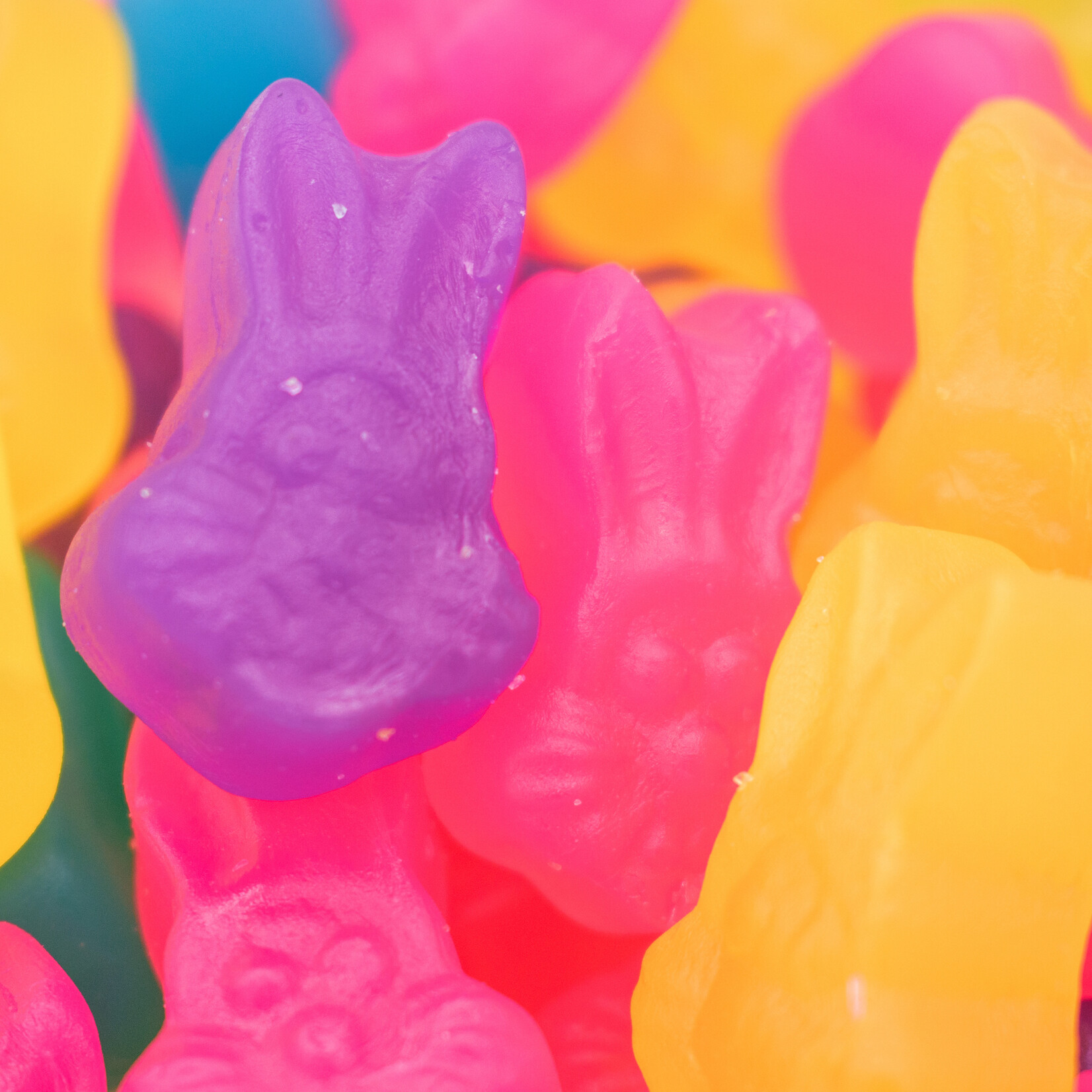 Easter Jube Rabbit
