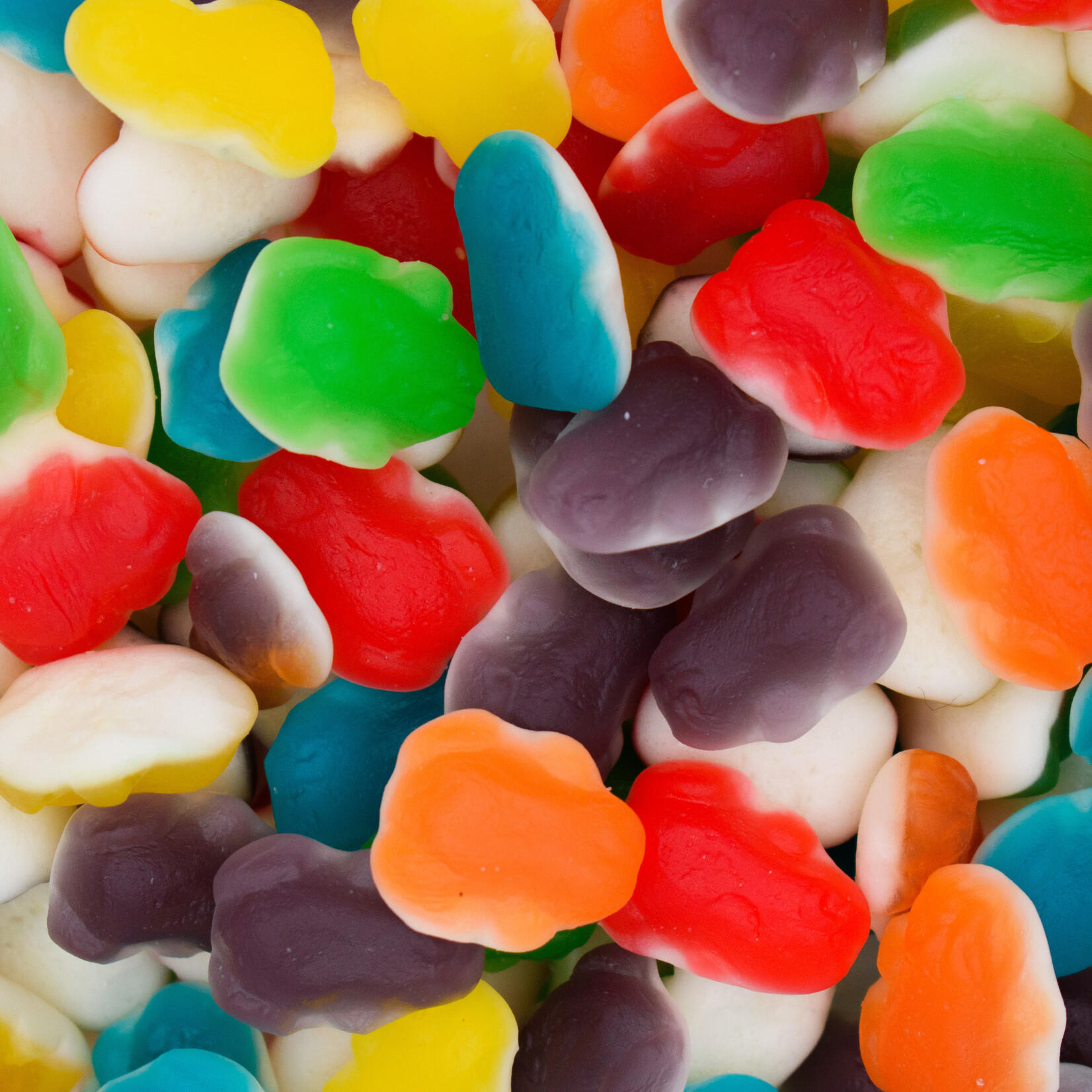Mini Grenouilles multicolores