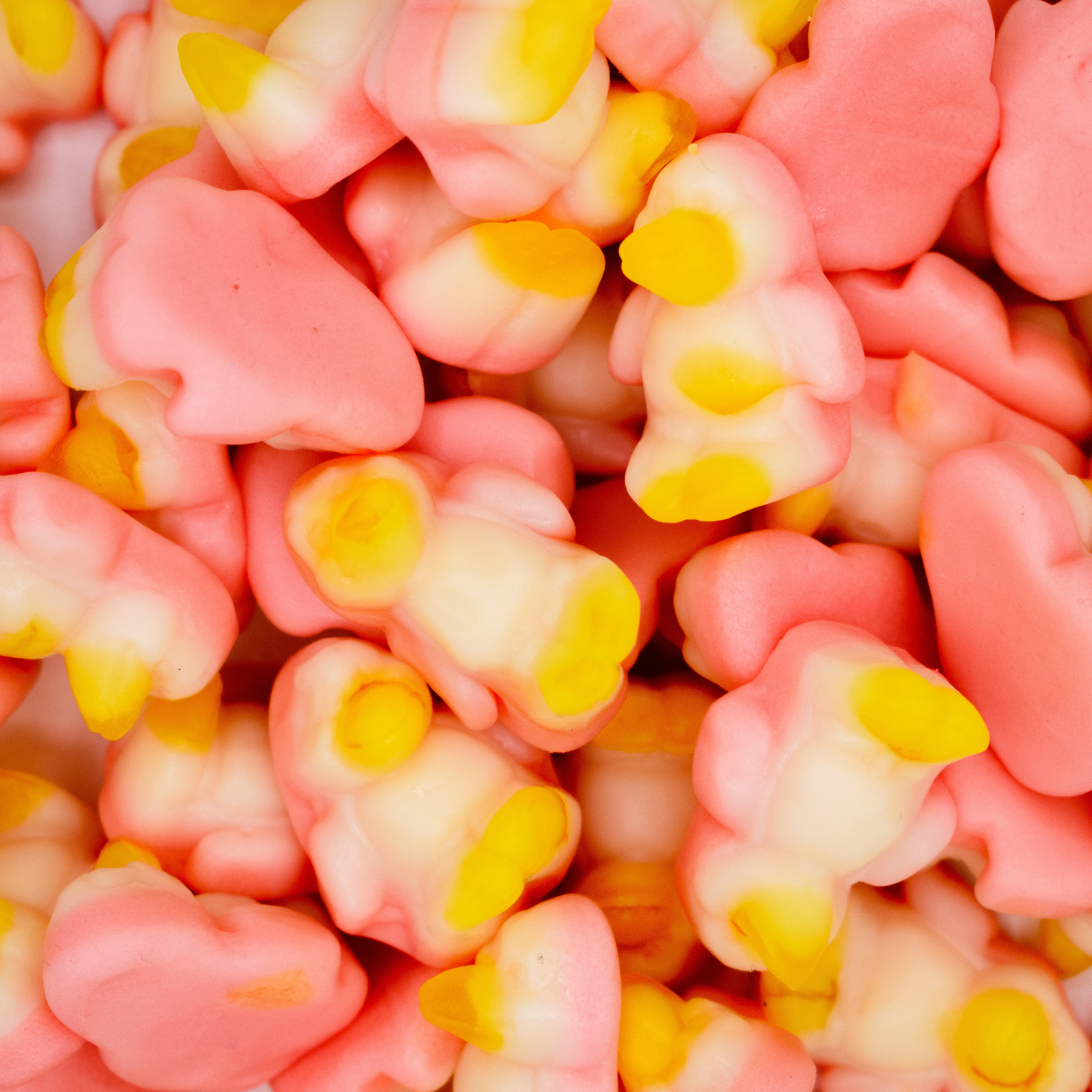 Huer Pingouins de L'antartique