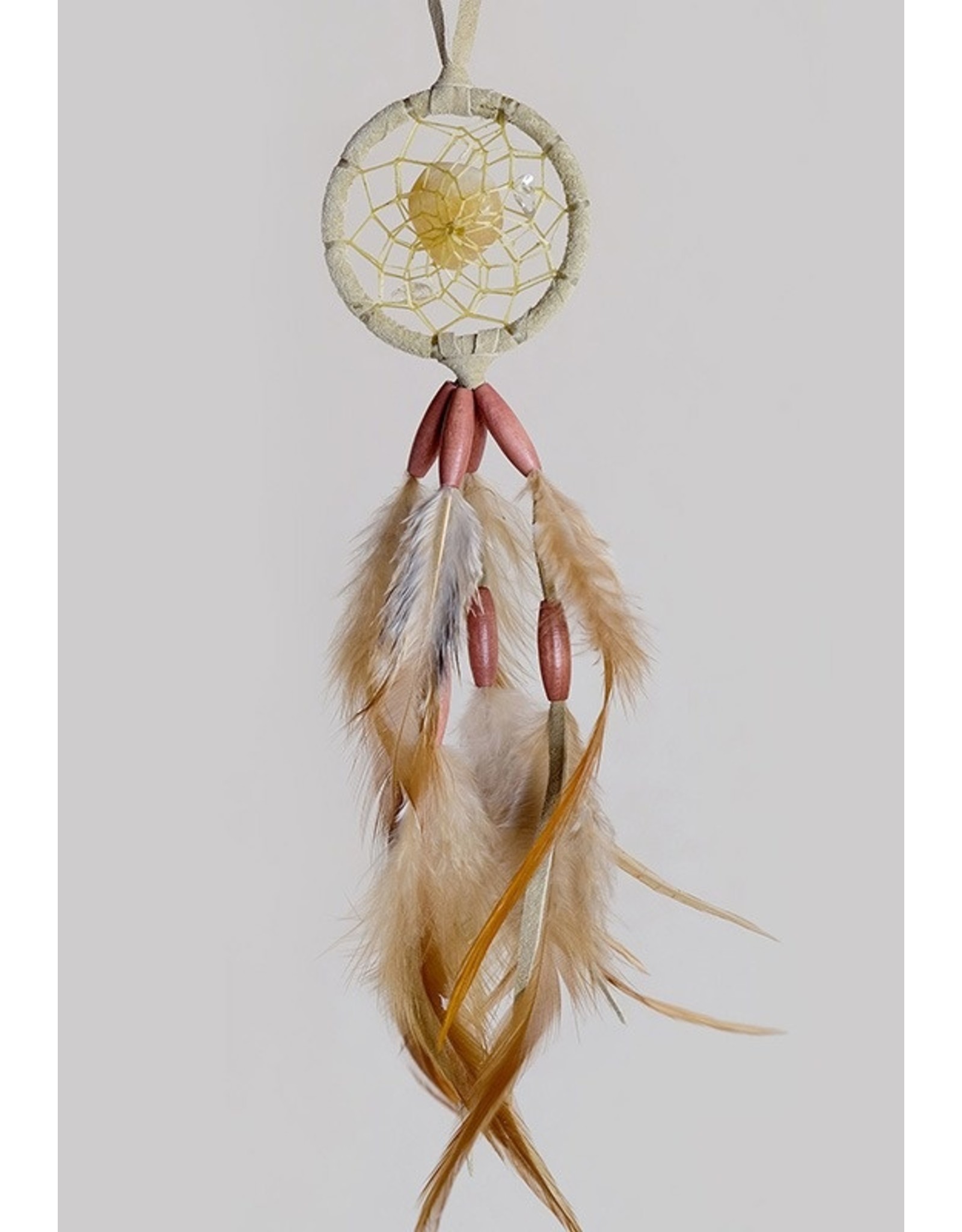"Protect the Earth" Dream Catcher - DC809