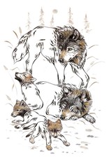 Wolf Family by Ernest Cobiness Card