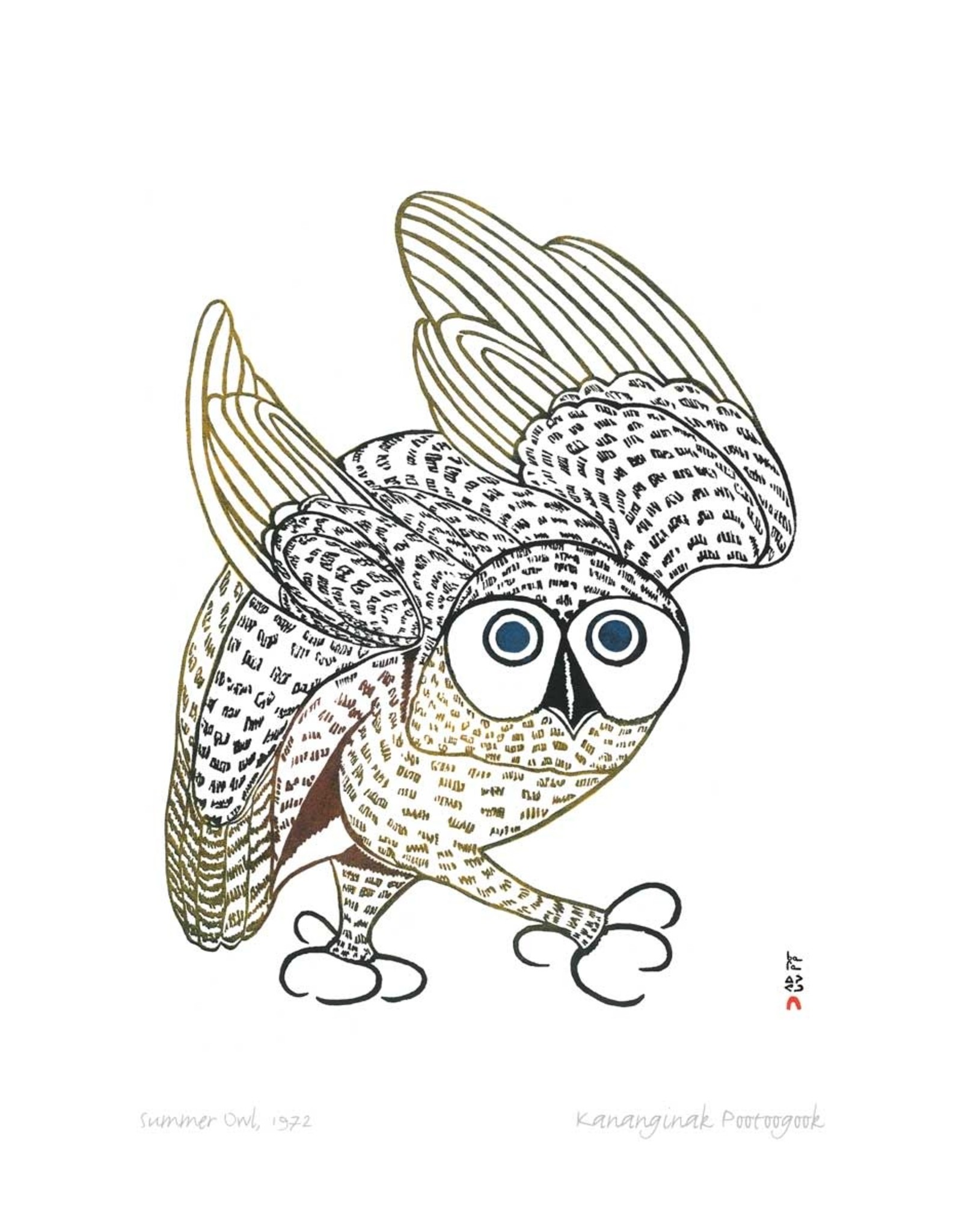 Summer Owl 1972 par Kananginak Pootoogook Encadrée