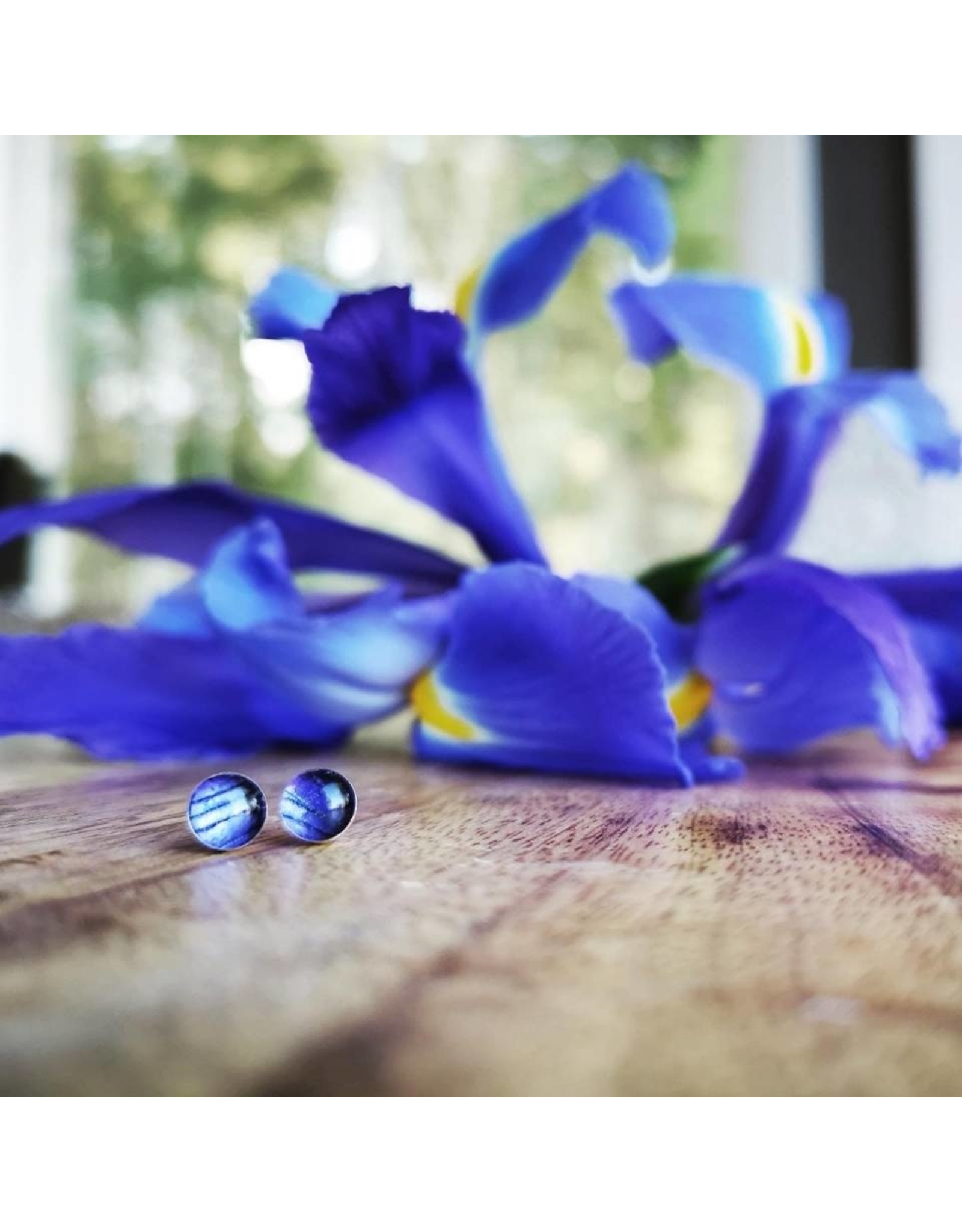 Quebec Blue Flag Iris 4mm Silver Earrings - QC0504S