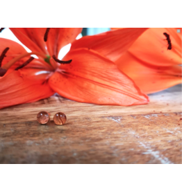 Saskatchewan Tiger Lily 5mm Silver Earrings