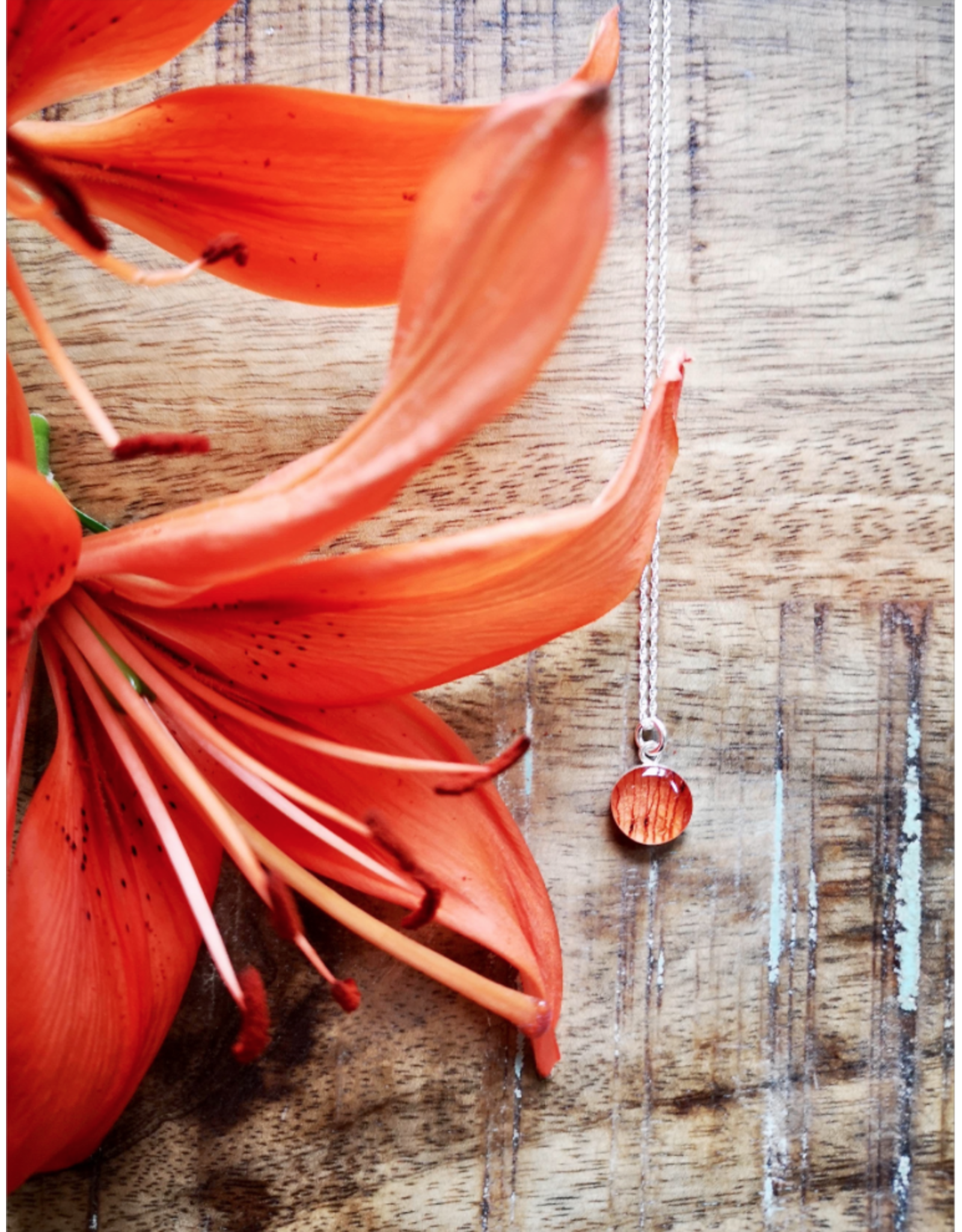 Collier Plaqué Or Lis Tigré 10mm  - SK0110G