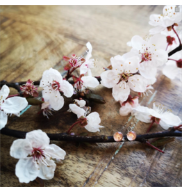 Boucles d'Oreilles Plaqué Or 4mm Fleur de Cerisier de B.C
