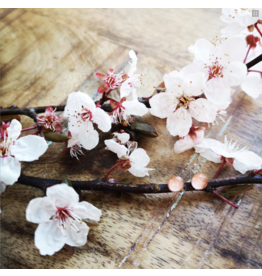Boucles d'Oreilles Plaqué Or 5mm Fleur de Cerisier de B.C