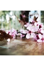 B.C Cherry Blossom Stacking Rings - CBSR