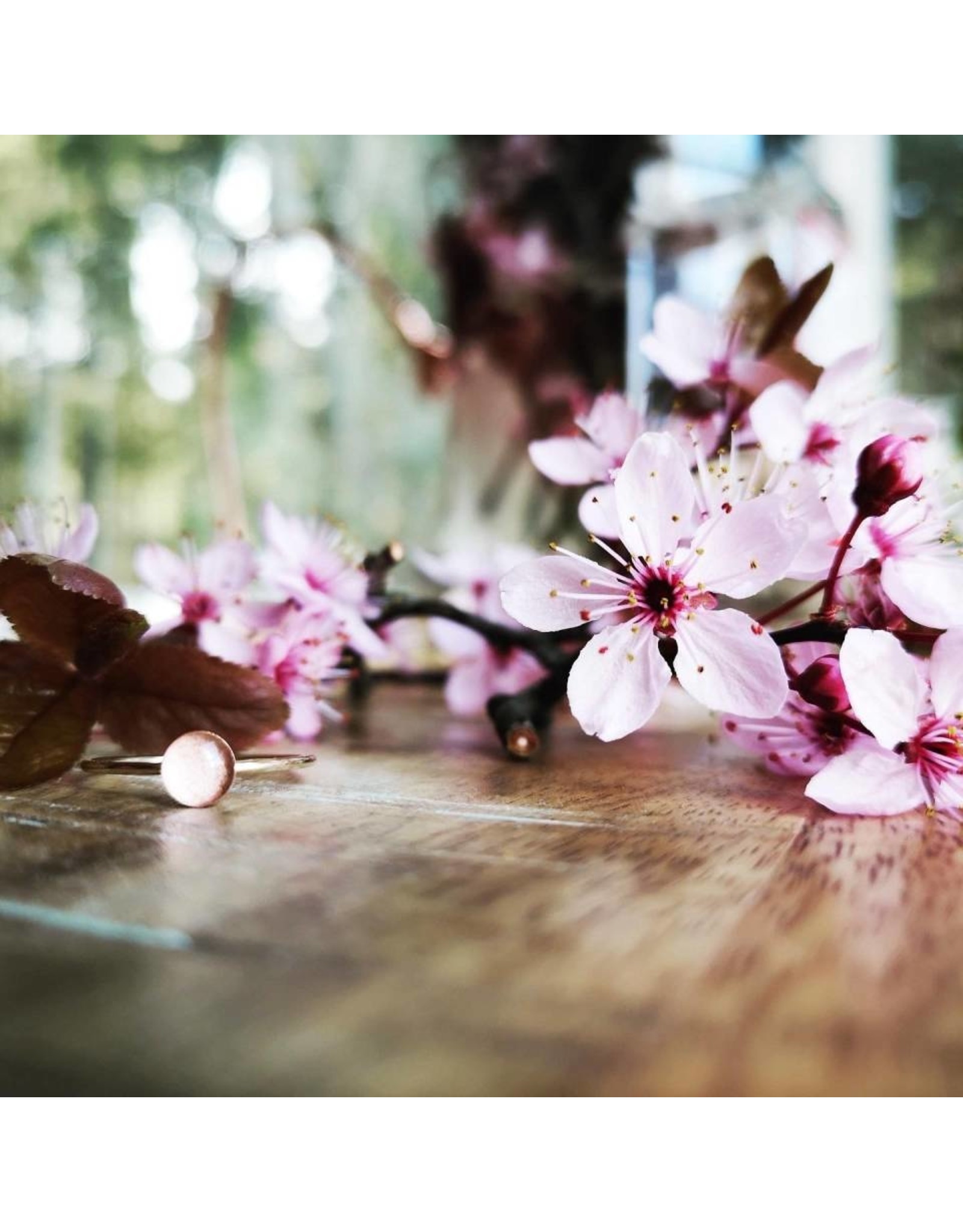 Bagues Fleur de Cerisier de B.C - CBSR