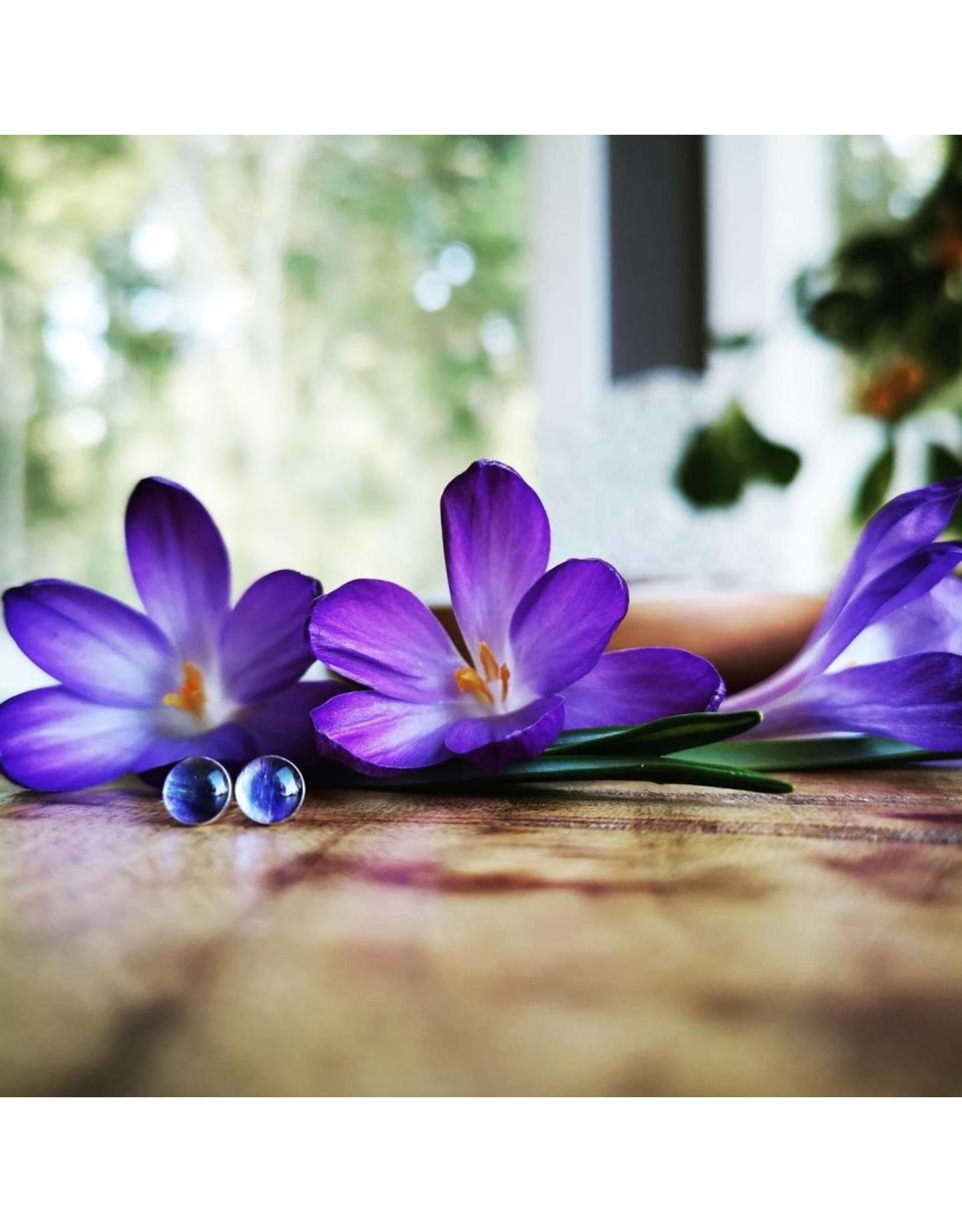 Manitoba Prairie Crocus Silver 5mm Earrings - MB0505S