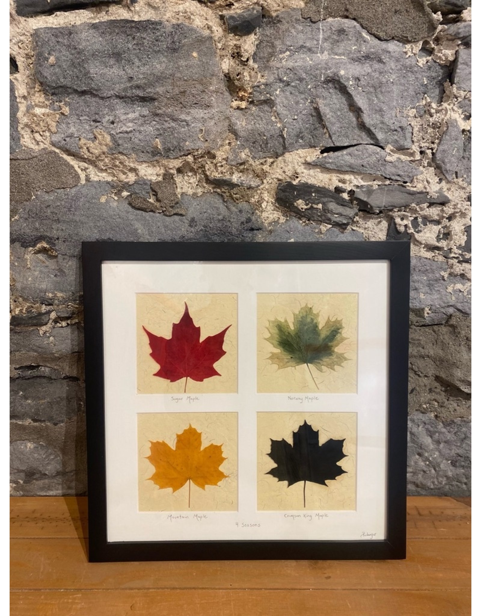 18x18 4 Seasons Maple Leaves Black Frame - 181804B