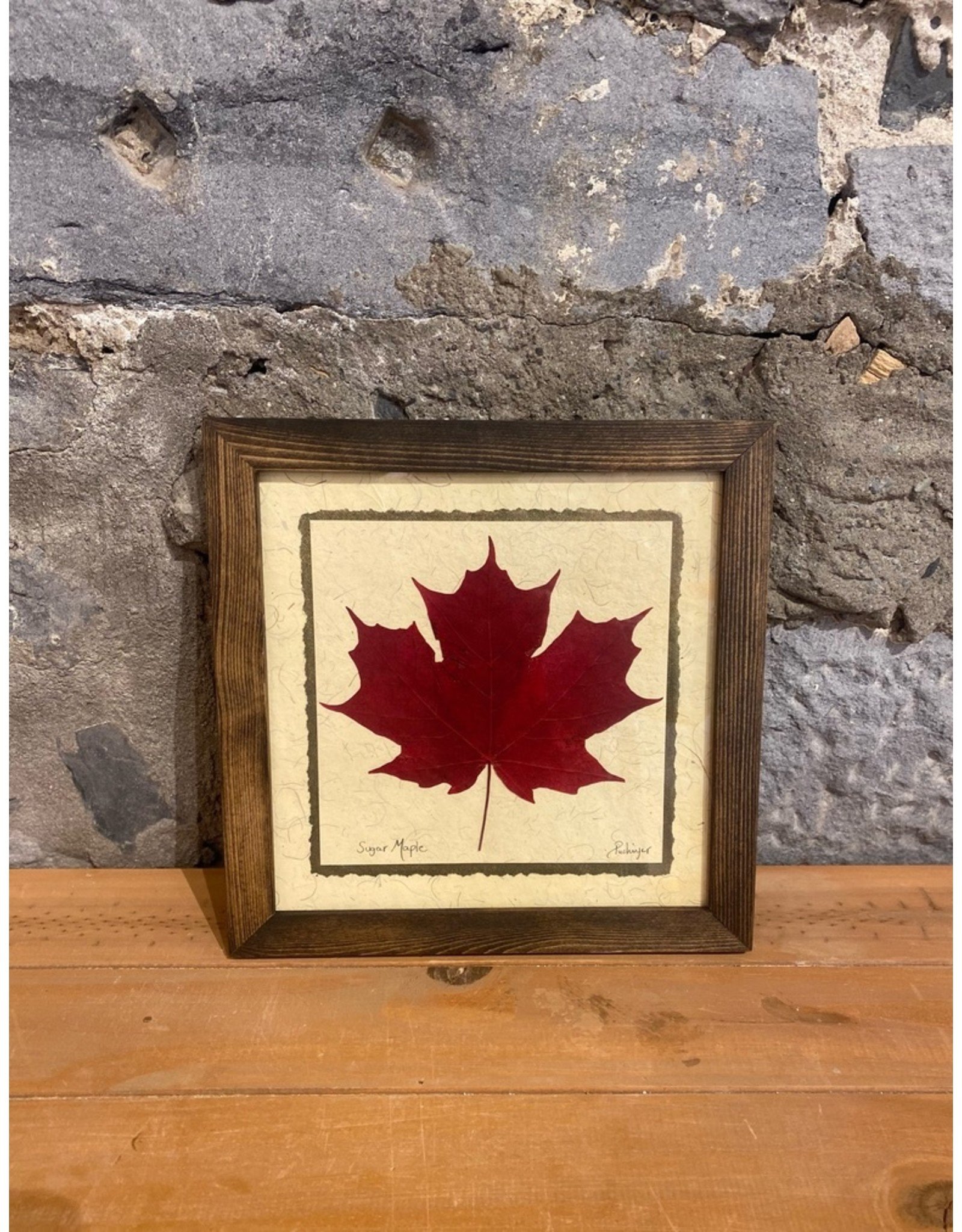 12x12 Single Maple Leaf Walnut Frame - 121201W