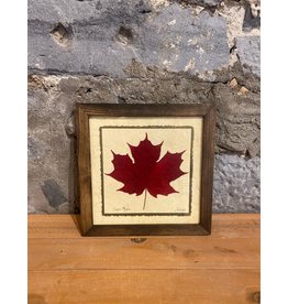 12x12 Single Maple Leaf - Walnut Frame