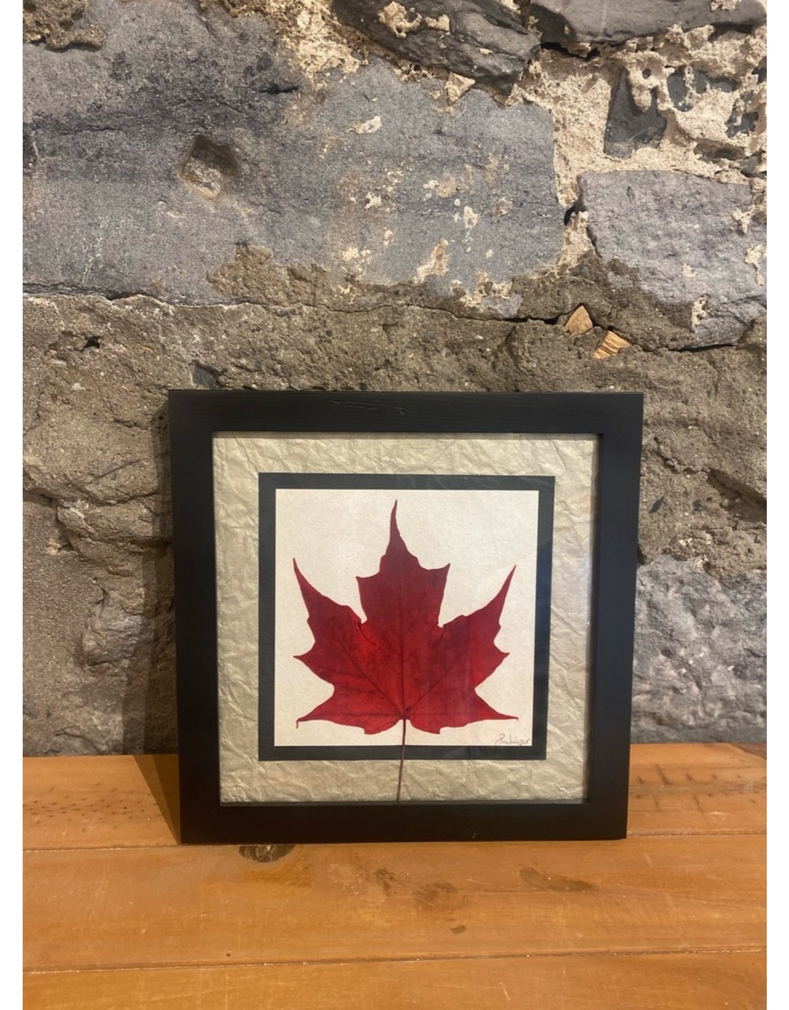 12x12 Single Maple Leaf Black Frame - 121201B