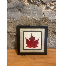 12x12 Single Maple Leaf - Black Frame