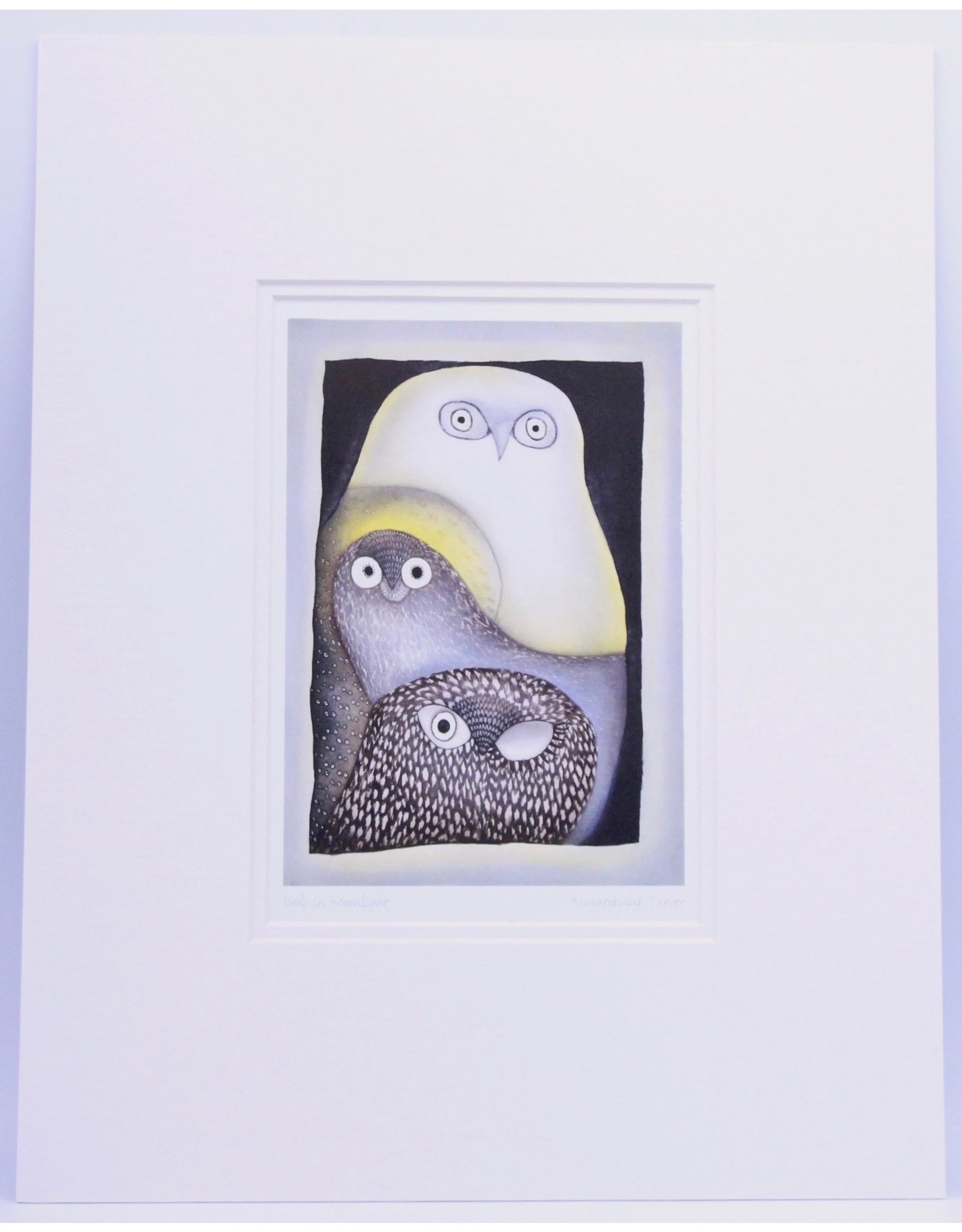 Owls in Moonlight by Ningeokuluk Teevee Matted