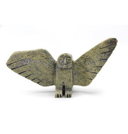 Owl by Gii Etungat